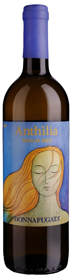 antonios-wine173120
