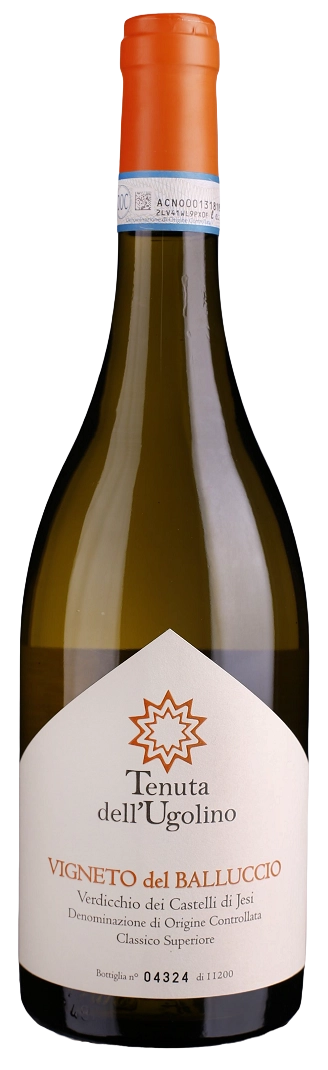 antonios-wine229825