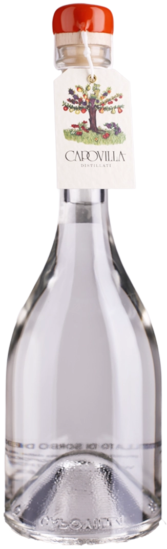 antonios-wine234402