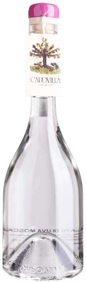antonios-wine234482