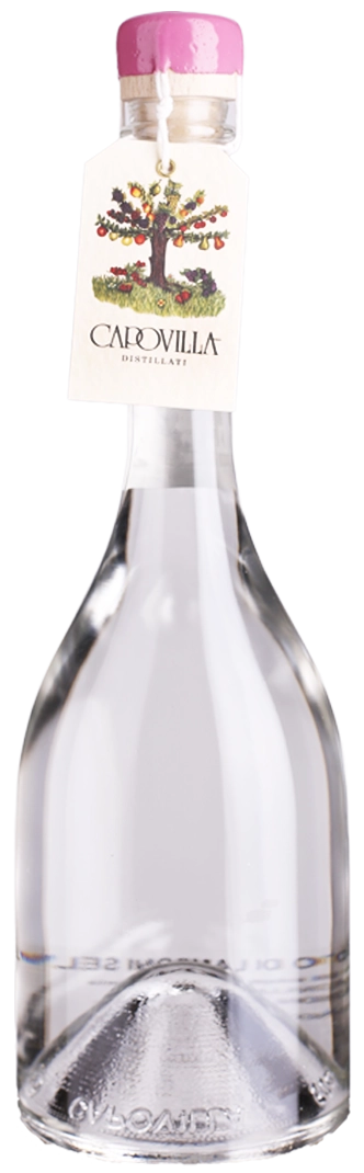antonios-wine237805