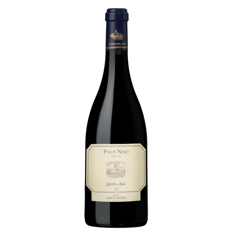 bottiglieriadelmassimo190536
