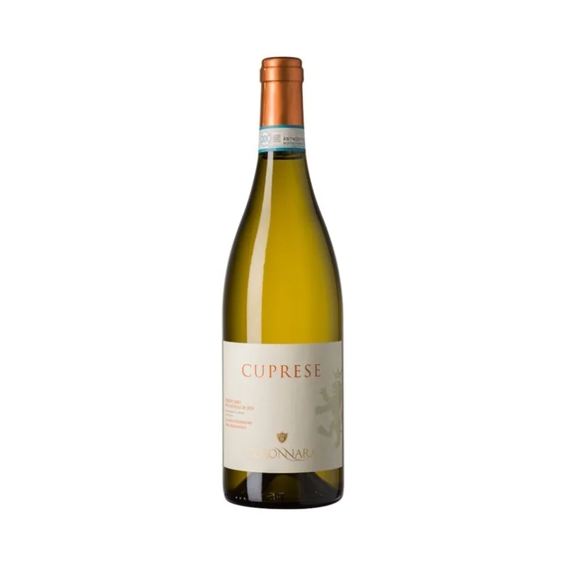 enotecacamilletti173766