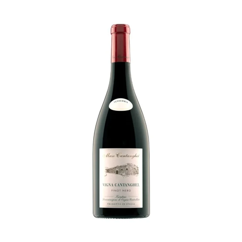 enotecacamilletti174964