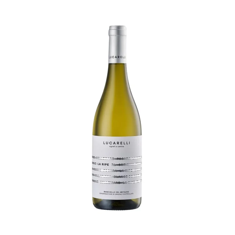 enotecacamilletti176674