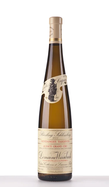 lebendigeweine169638