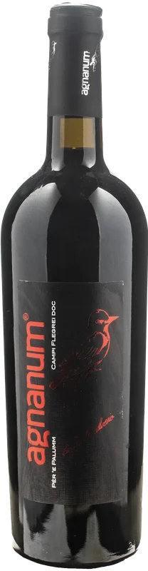 xtrawine224995