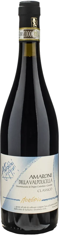 xtrawine233484