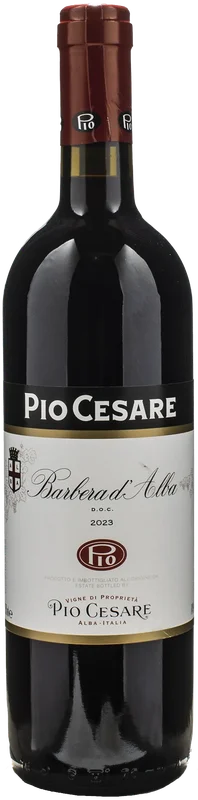 xtrawine241123