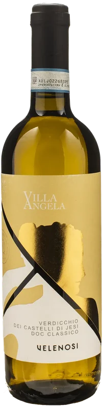xtrawine245186