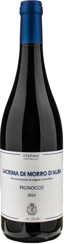 xtrawine251114