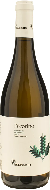 xtrawine276888