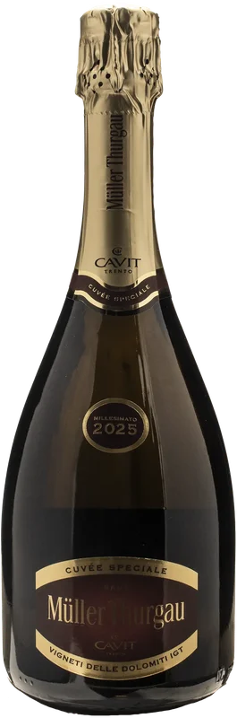 xtrawine295293